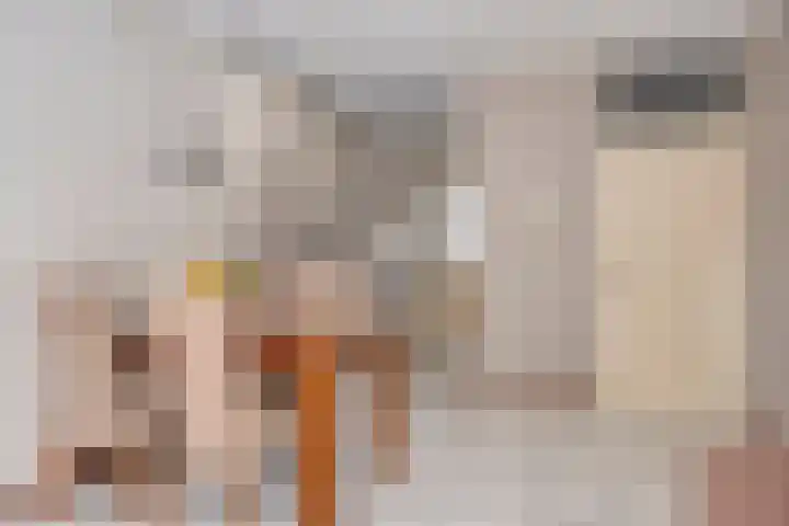 Doppenmolen 5 Koog aan de Zaan thumbnail 13