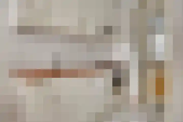 Doppenmolen 5 Koog aan de Zaan thumbnail 14