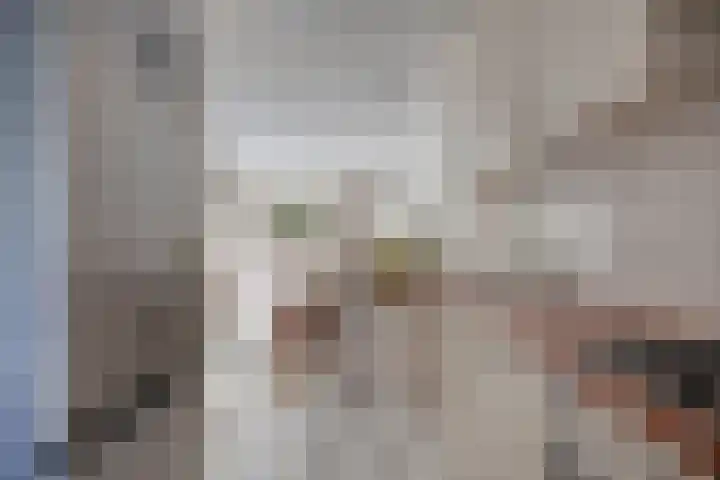Doppenmolen 5 Koog aan de Zaan thumbnail 15