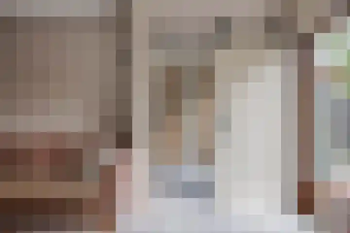 Doppenmolen 5 Koog aan de Zaan thumbnail 16