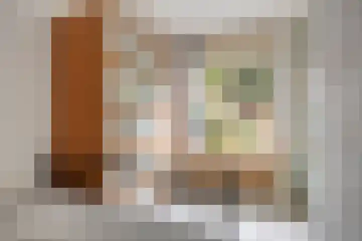 Doppenmolen 5 Koog aan de Zaan thumbnail 18