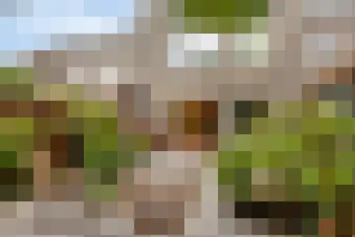 Doppenmolen 5 Koog aan de Zaan thumbnail 23