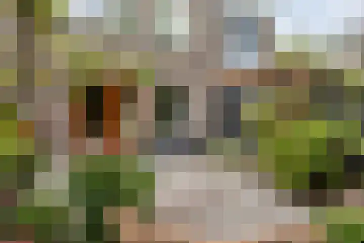 Doppenmolen 5 Koog aan de Zaan thumbnail 24