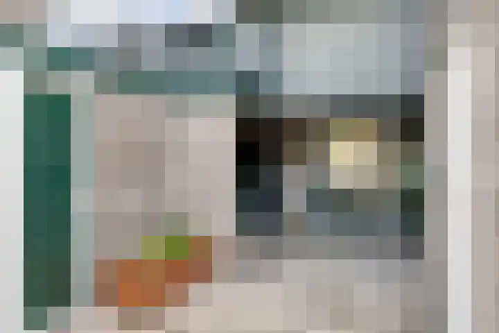 Doppenmolen 5 Koog aan de Zaan thumbnail 25