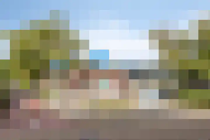 Doppenmolen 5 Koog aan de Zaan thumbnail 29