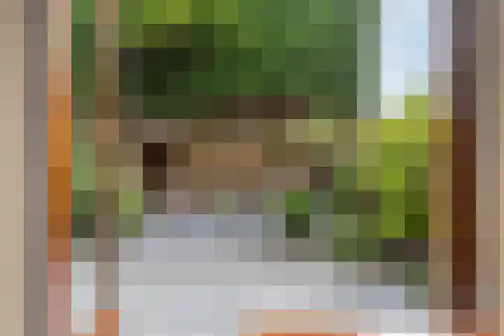 Doppenmolen 5 Koog aan de Zaan thumbnail 4