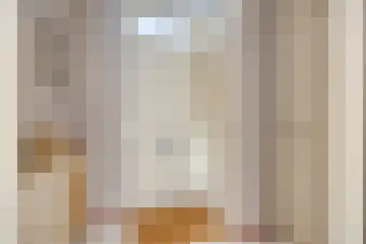 Doppenmolen 5 Koog aan de Zaan thumbnail 6