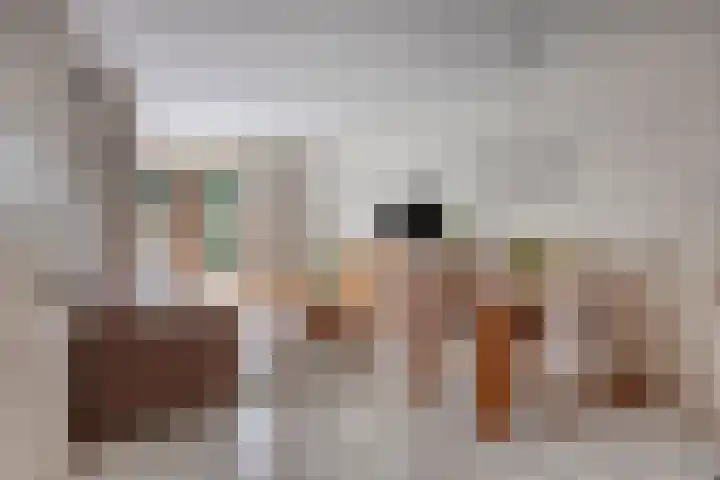 Doppenmolen 5 Koog aan de Zaan thumbnail 8