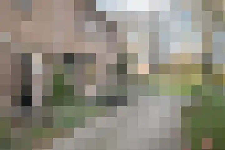Doppersingel 12 's-Gravenzande thumbnail 8