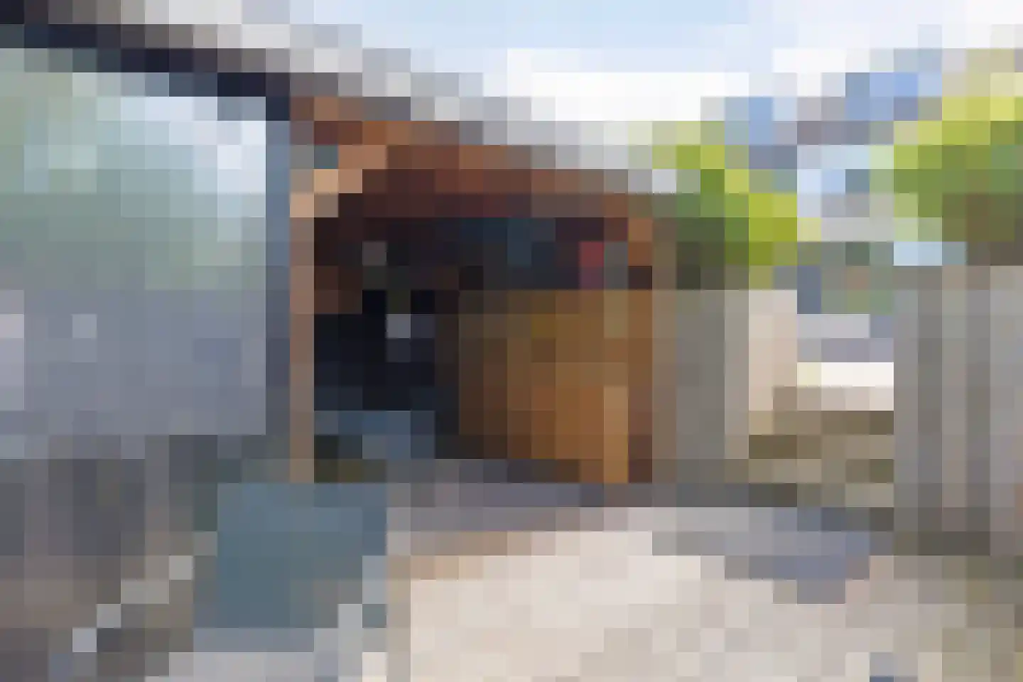 Dopperstraat 125 Bunschoten-Spakenburg thumbnail 47