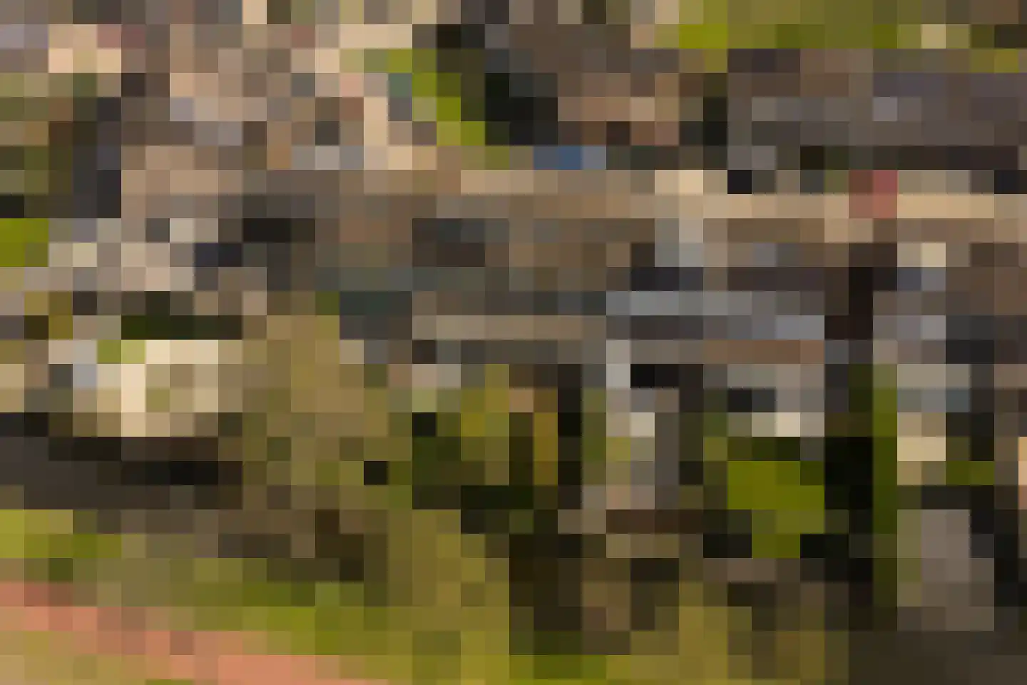 Dopperstraat 139 Bunschoten-Spakenburg thumbnail 4