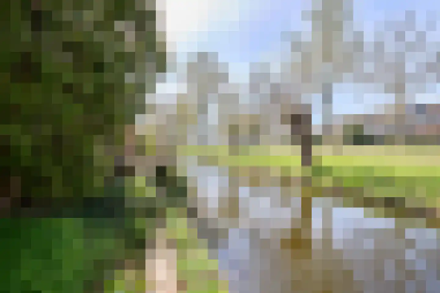 Dopperstraat 139 Bunschoten-Spakenburg thumbnail 9