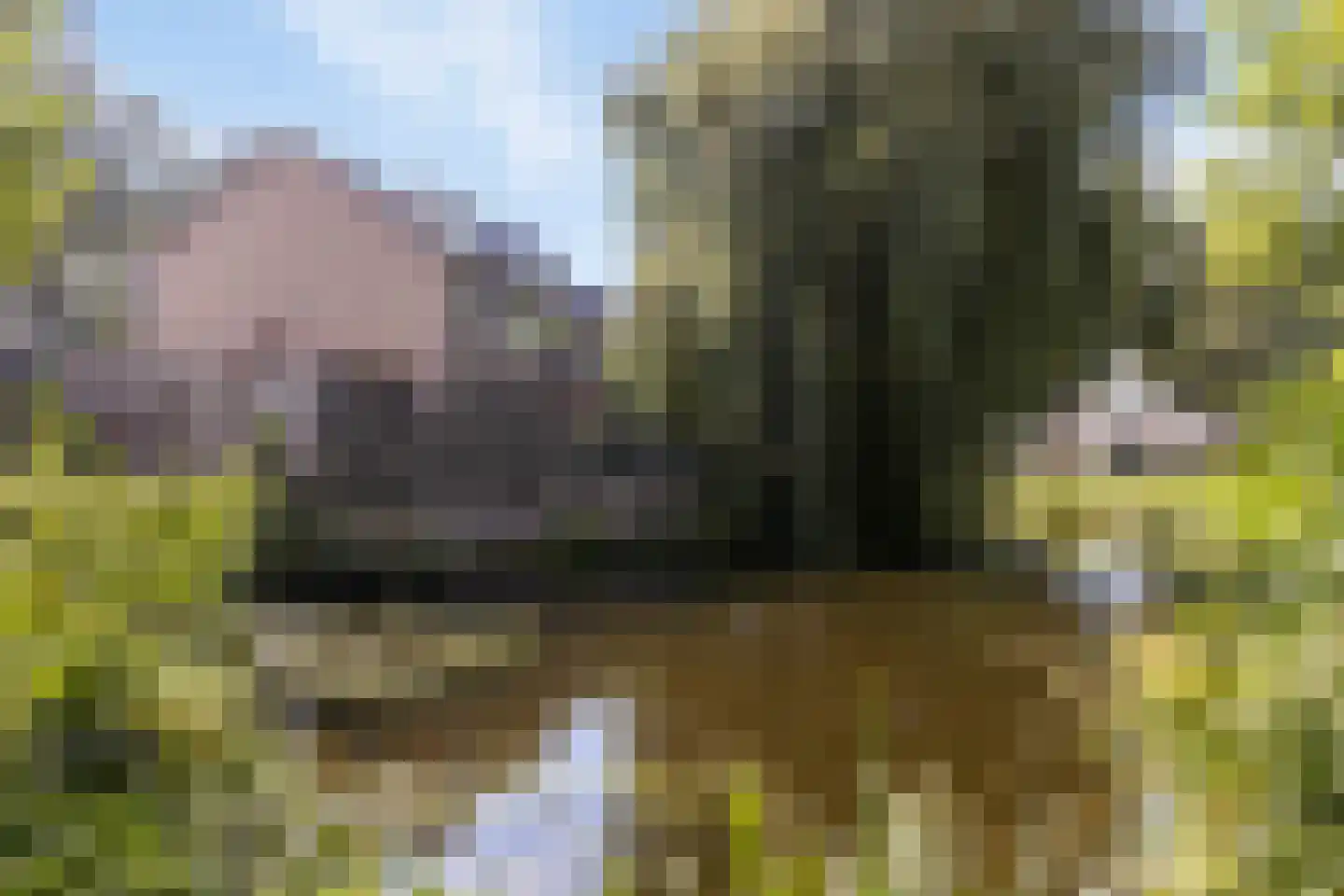 Dopperstraat 185 Bunschoten-Spakenburg thumbnail 4