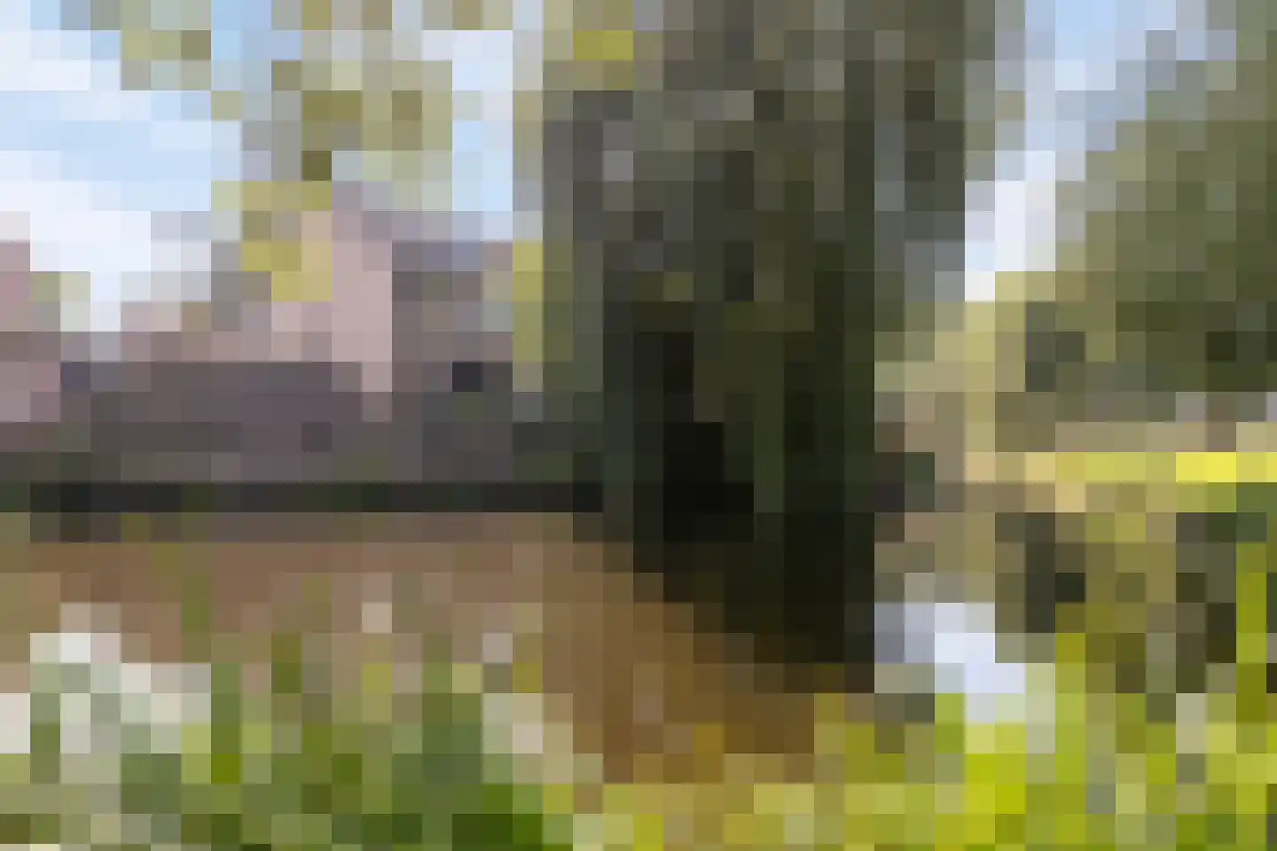 Dopperstraat 185 Bunschoten-Spakenburg thumbnail 5