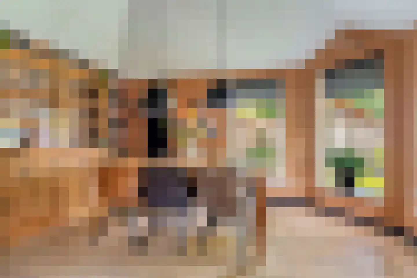 Dopperstraat 187 Bunschoten-Spakenburg thumbnail 14