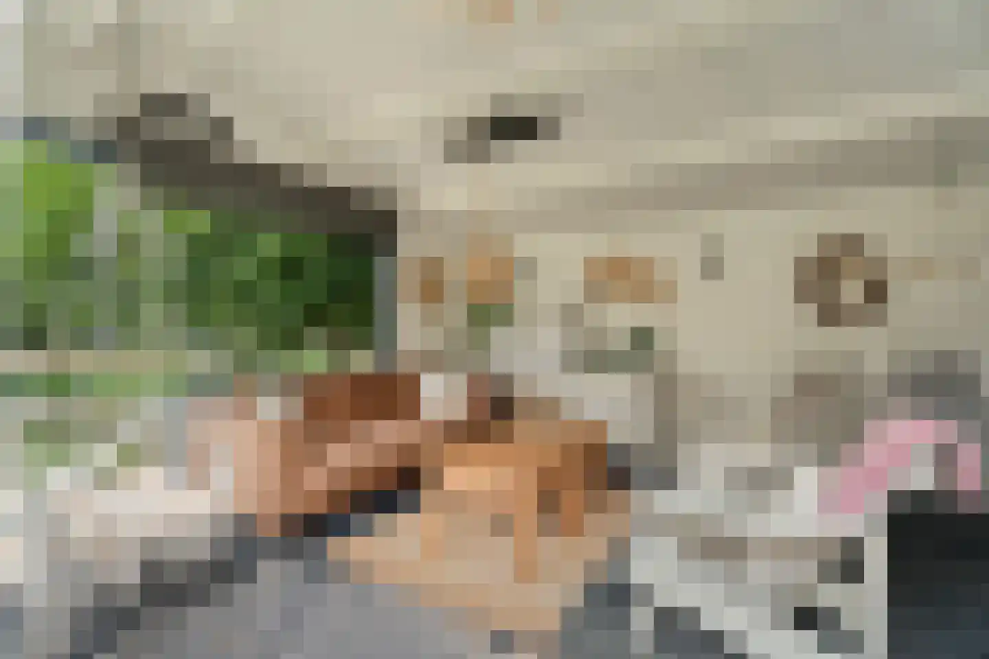 Dopperstraat 187 Bunschoten-Spakenburg thumbnail 41