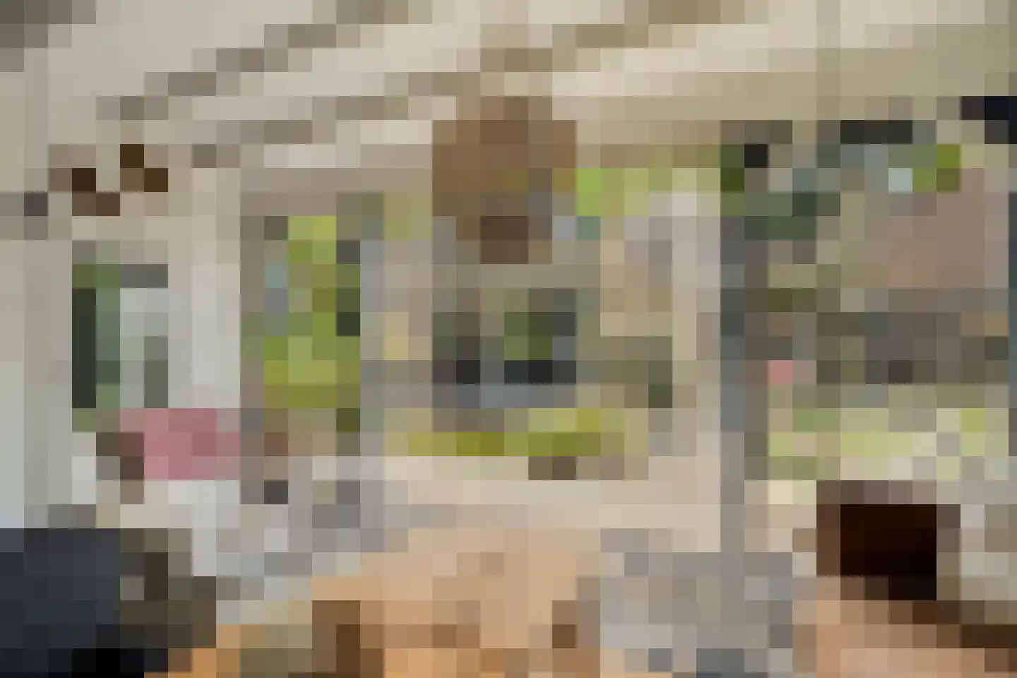 Dopperstraat 187 Bunschoten-Spakenburg thumbnail 44