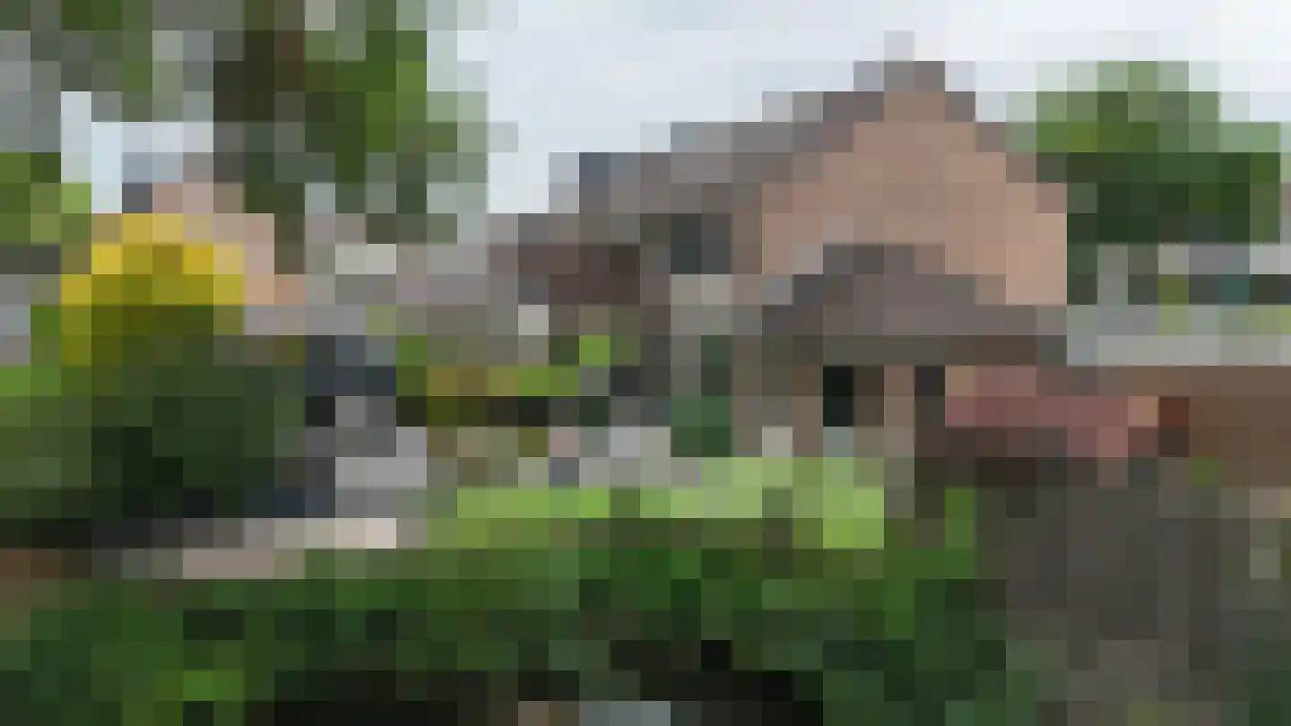 Dopperstraat 187 Bunschoten-Spakenburg thumbnail 47
