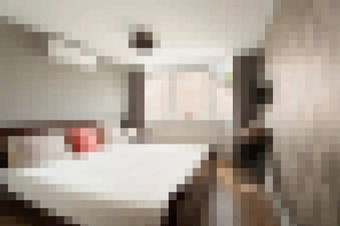 Dopperstraat 64 Bunschoten-Spakenburg thumbnail 28