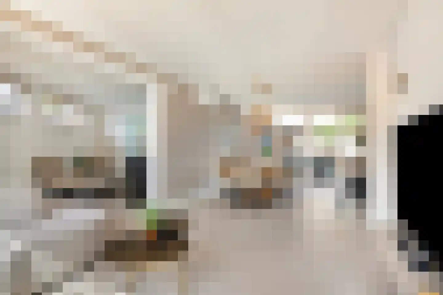 Dopperstraat 64 Bunschoten-Spakenburg thumbnail 9