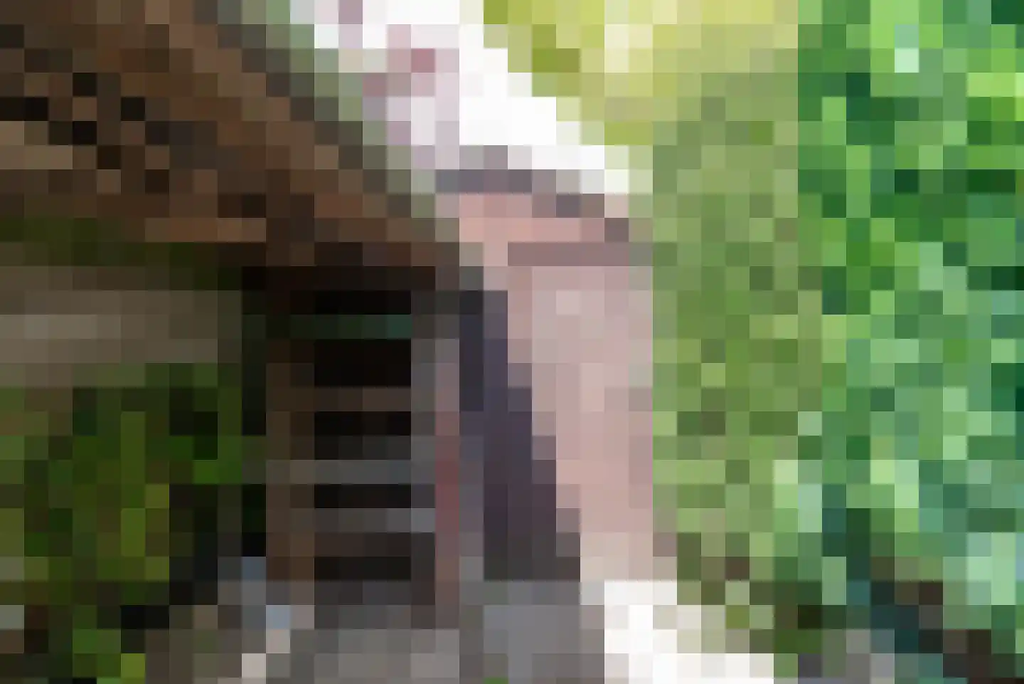 Dopplerstraat 10 Apeldoorn thumbnail 14