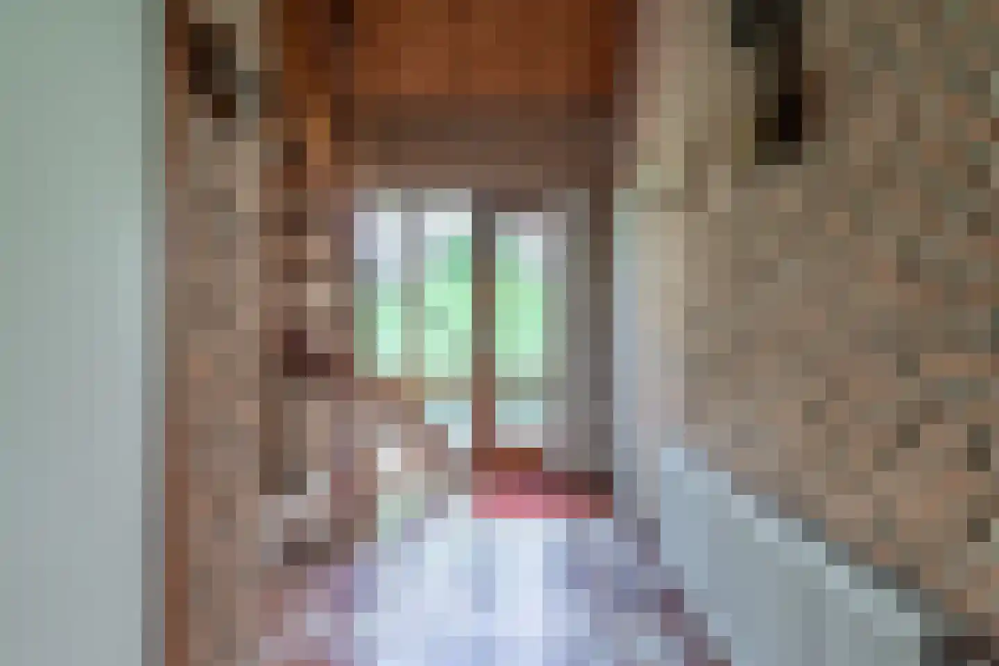 Dopplerstraat 10 Apeldoorn thumbnail 17