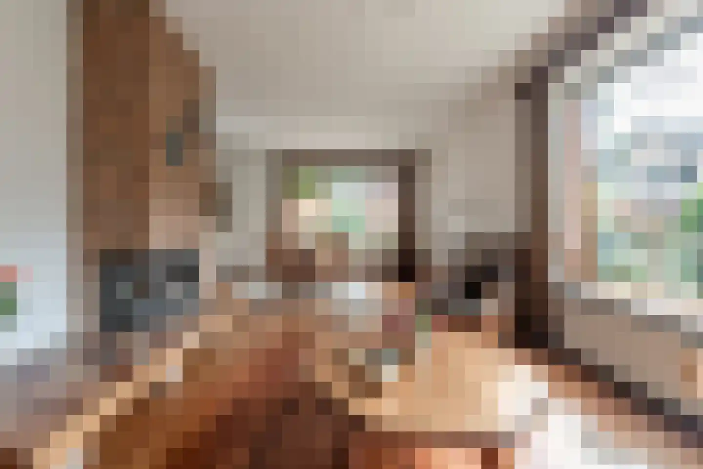 Dopplerstraat 10 Apeldoorn thumbnail 21