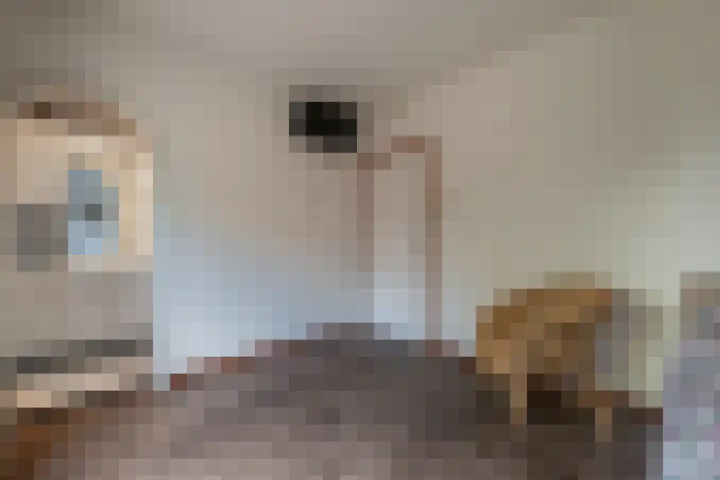 Dopplerstraat 10 Apeldoorn thumbnail 28