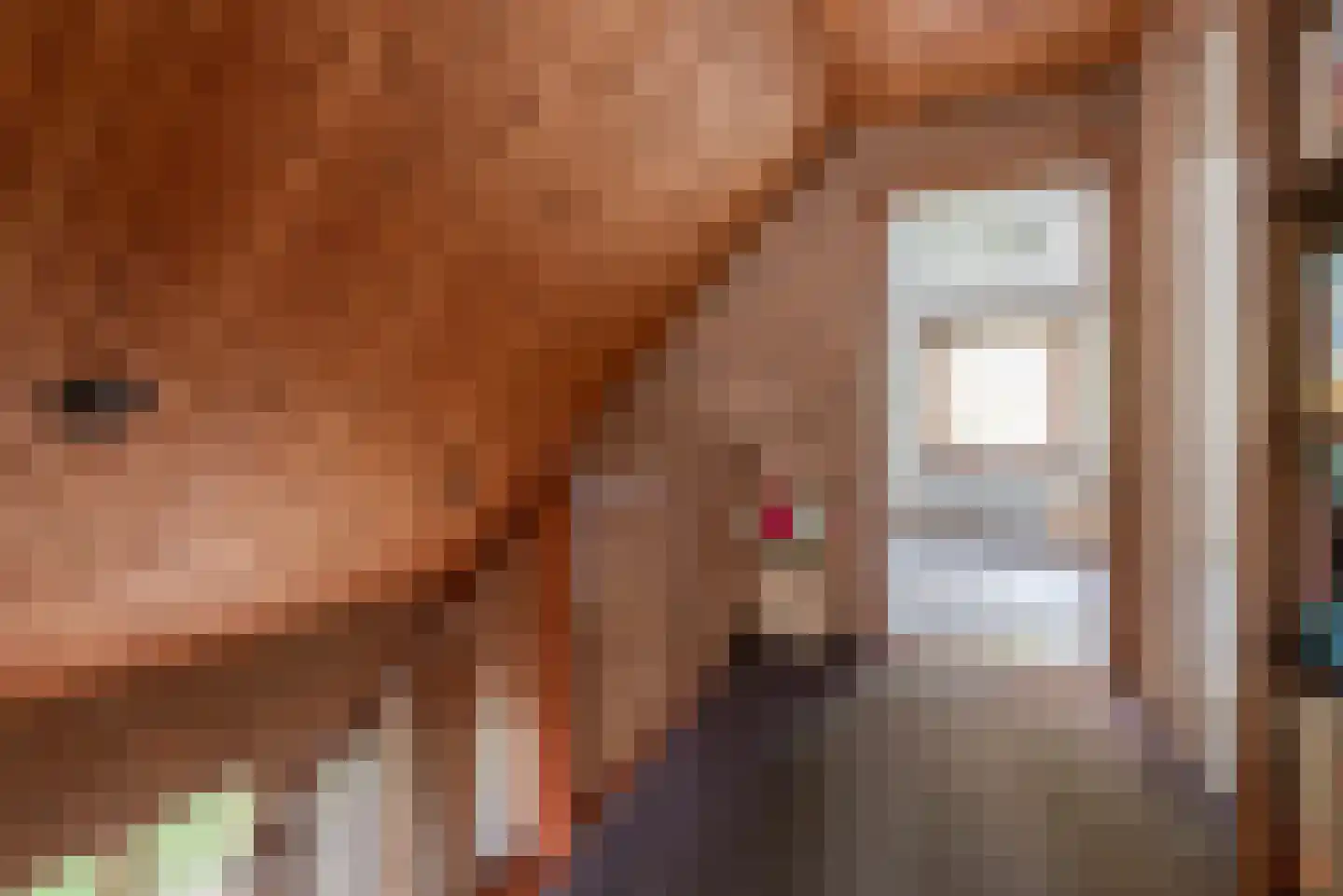 Dopplerstraat 10 Apeldoorn thumbnail 36