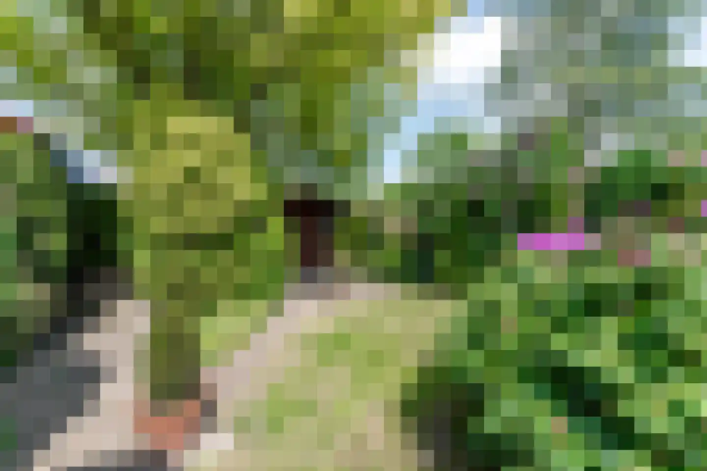 Dopplerstraat 10 Apeldoorn thumbnail 5