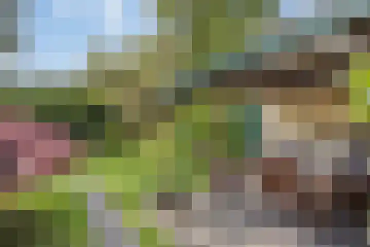 Dopplerstraat 17 Apeldoorn thumbnail 30