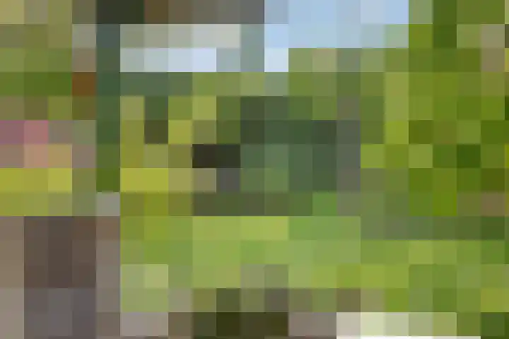 Dopplerstraat 17 Apeldoorn thumbnail 32