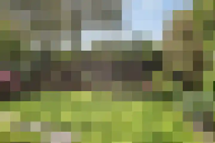 Dopplerstraat 17 Apeldoorn thumbnail 33