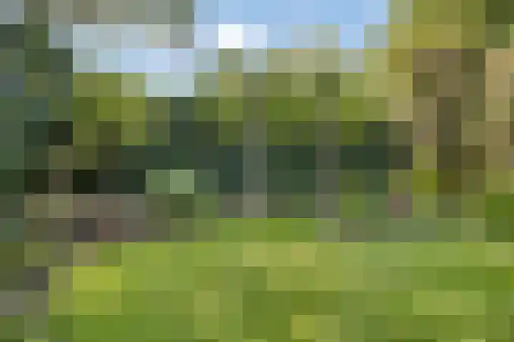 Dopplerstraat 17 Apeldoorn thumbnail 36