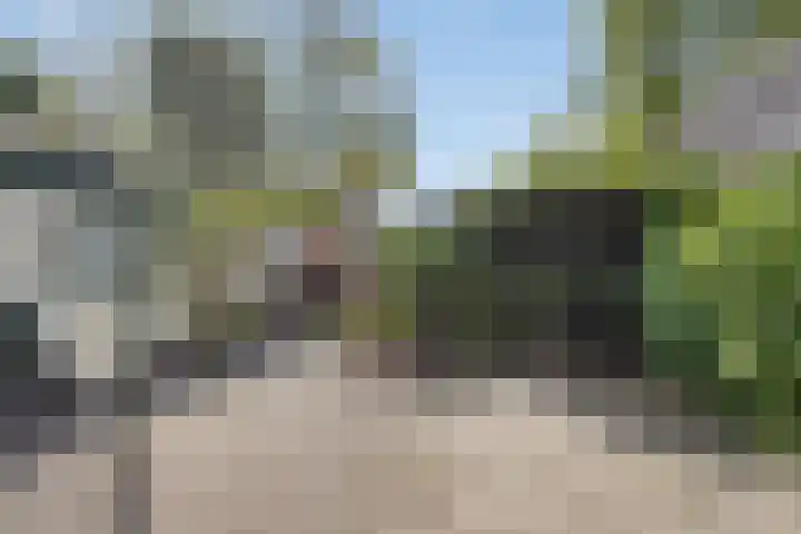 Dopplerstraat 17 Apeldoorn thumbnail 38
