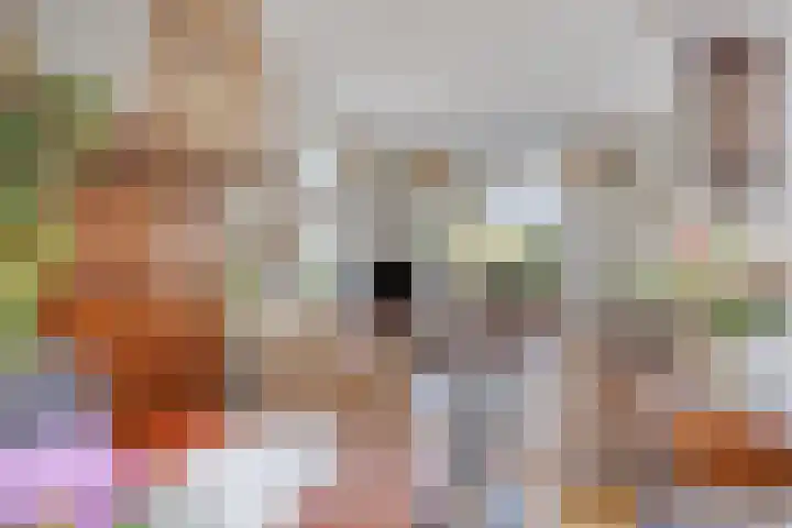 Dopplerstraat 17 Apeldoorn thumbnail 5