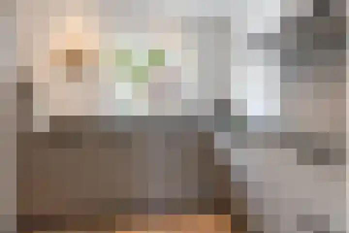Dopplerstraat 23 Apeldoorn thumbnail 13