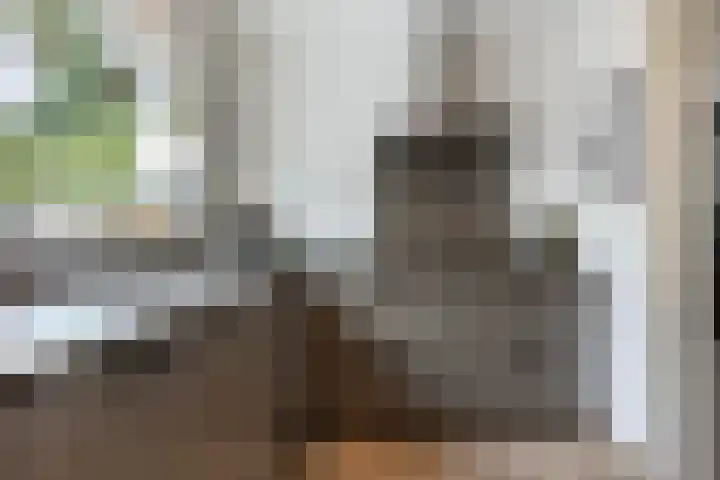 Dopplerstraat 23 Apeldoorn thumbnail 14