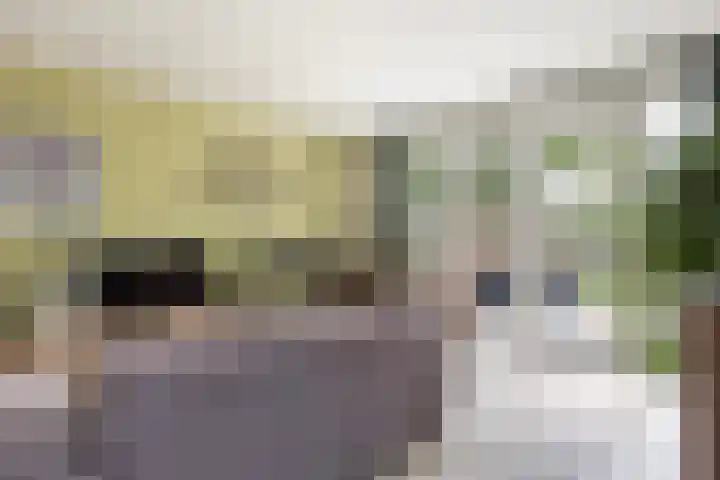 Dopplerstraat 23 Apeldoorn thumbnail 20
