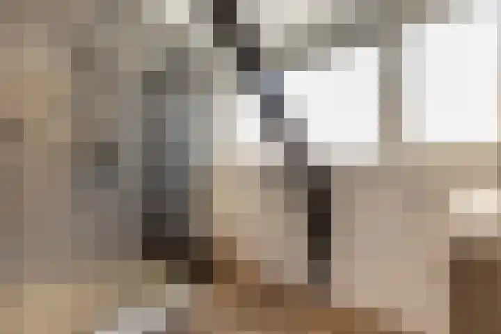 Dopplerstraat 23 Apeldoorn thumbnail 29
