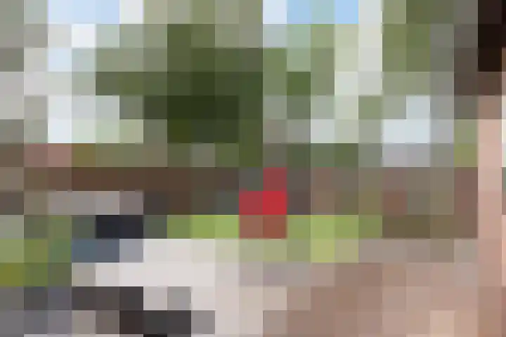 Dopplerstraat 23 Apeldoorn thumbnail 33