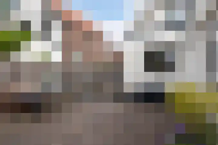 Dopplerstraat 23 Apeldoorn thumbnail 34