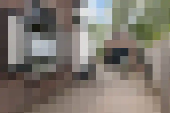 Dopplerstraat 23 Apeldoorn thumbnail 5