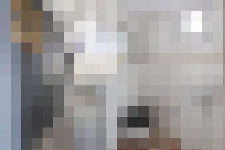 Dopplerstraat 23 Apeldoorn thumbnail 6