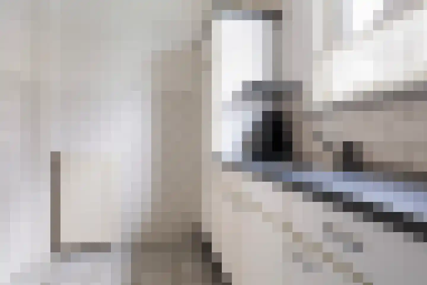 Dopplerstraat 24 Apeldoorn thumbnail 13
