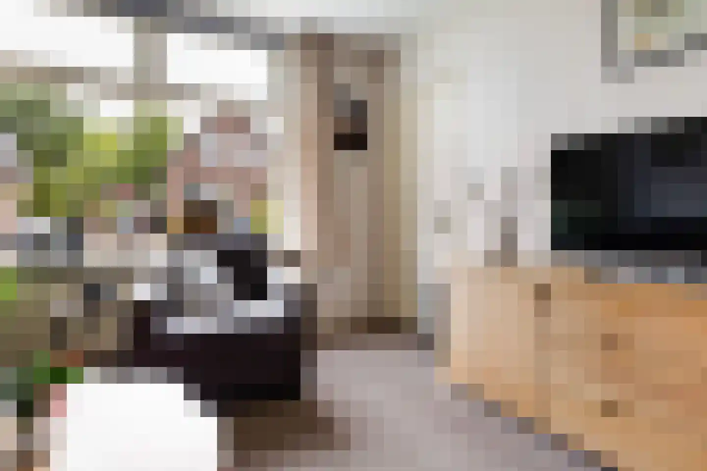 Dopplerstraat 24 Apeldoorn thumbnail 7