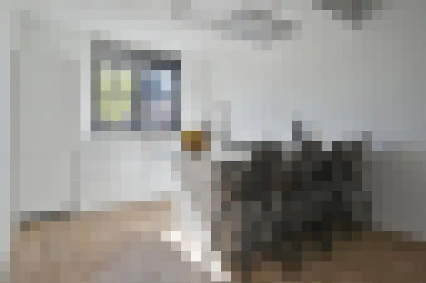 Dopsingel 33 Eemnes thumbnail 8