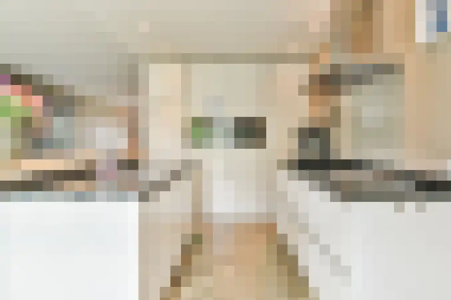 Dopsingel 4 Eemnes thumbnail 14