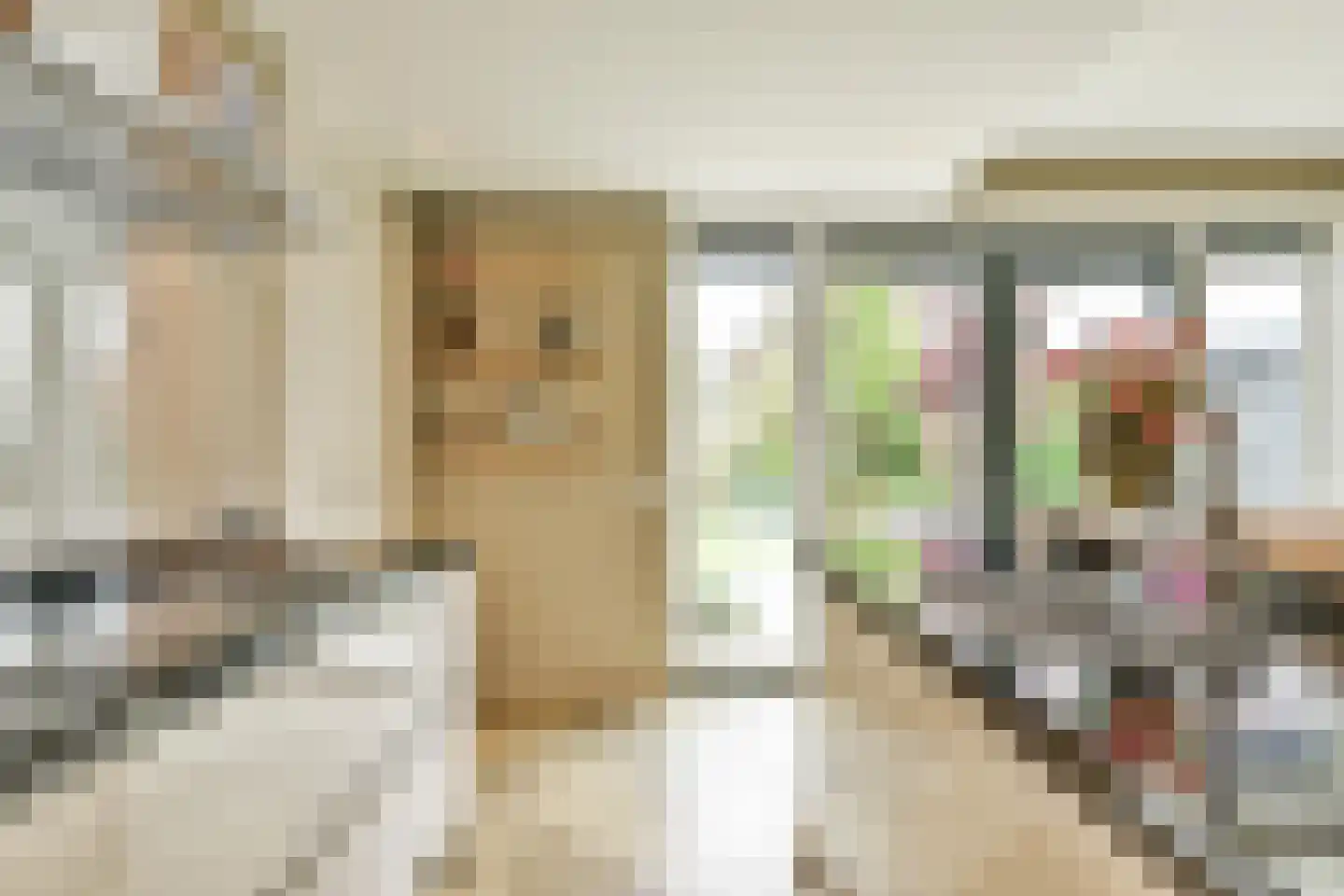 Dopsingel 4 Eemnes thumbnail 15