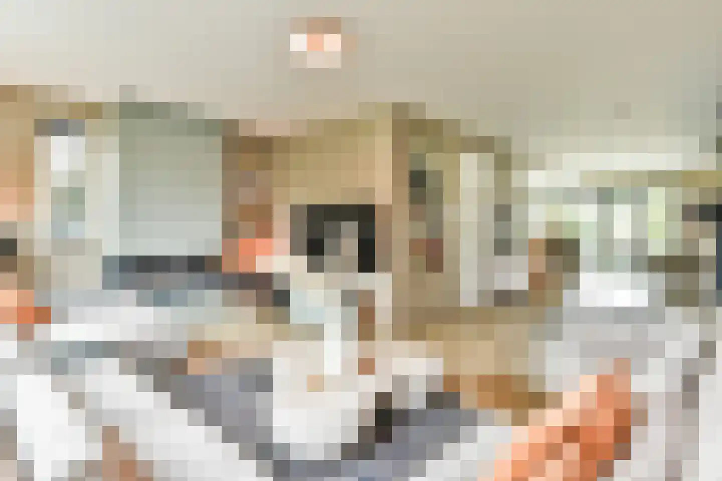 Dopsingel 4 Eemnes thumbnail 7
